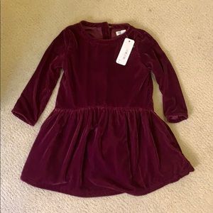 Gymboree Baby Burgundy Velvet Dress